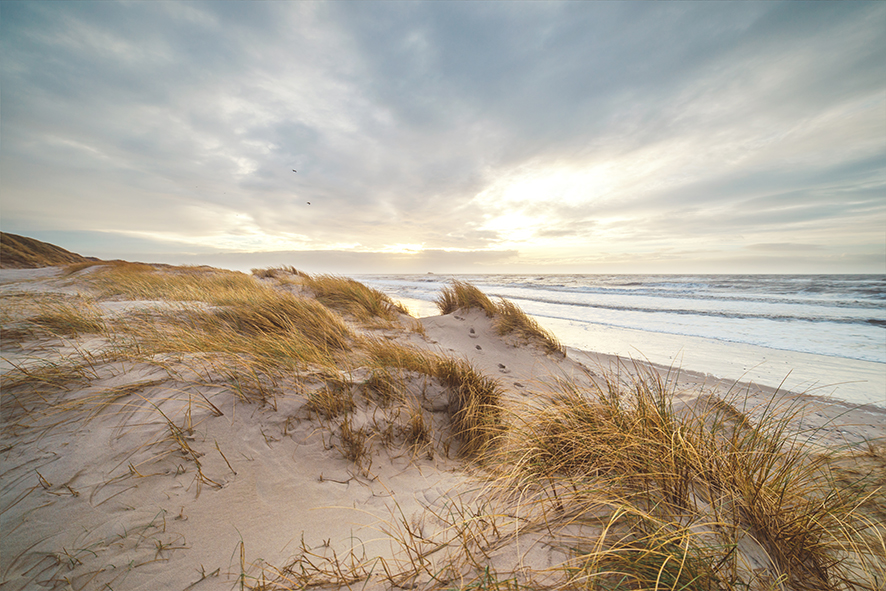 Strand an der Nordsee